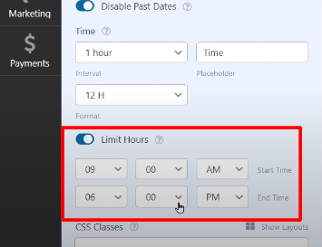 Time field options