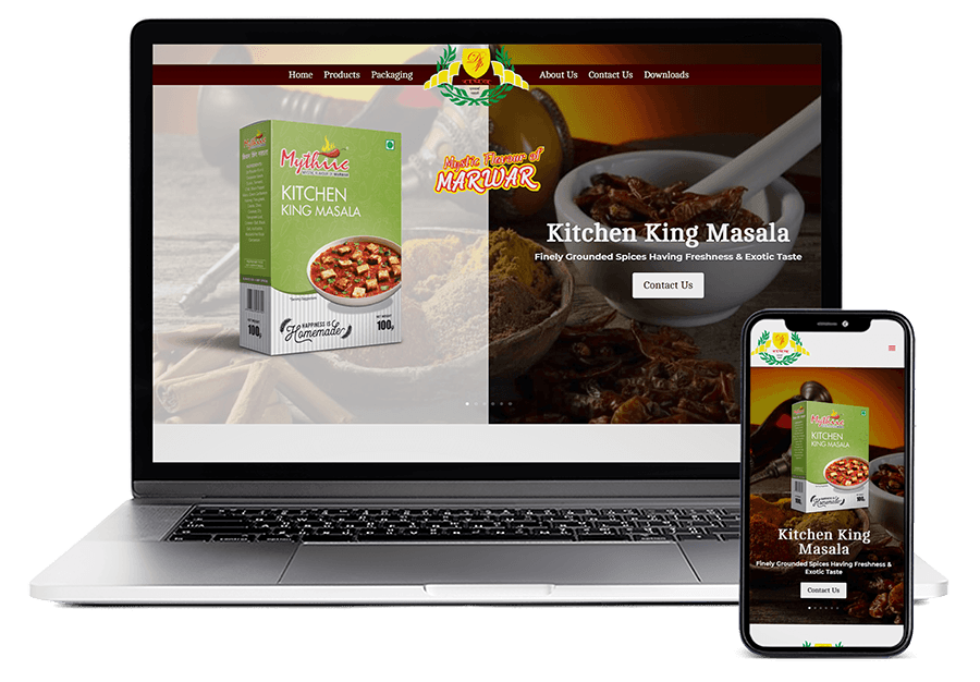 website design company in jaipur food website