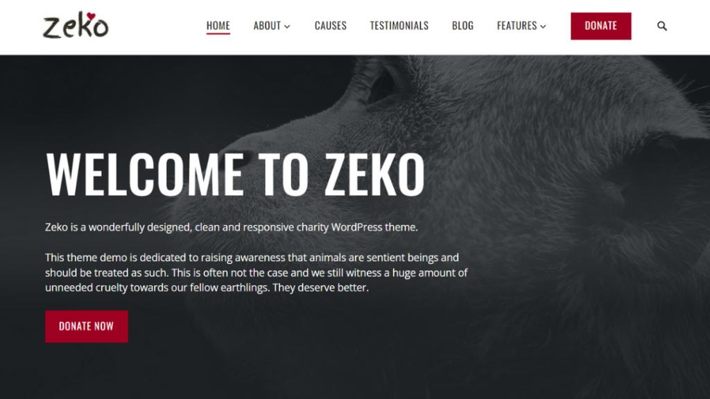 zeko non profit wordpress theme