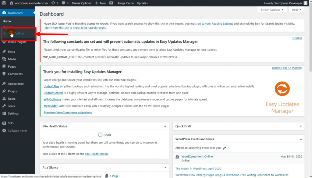 How To Disable Automatic Updates In WordPress